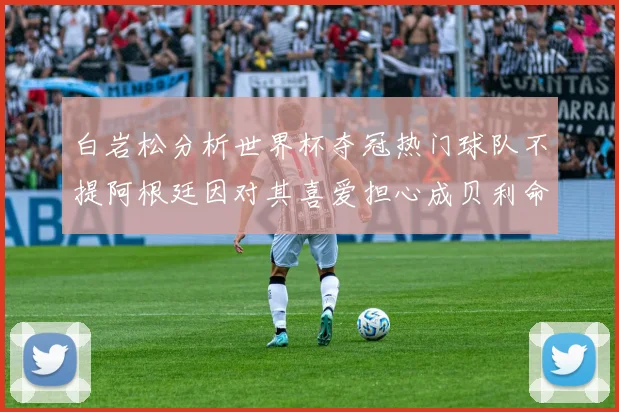 白岩松分析世界杯夺冠热门球队不提阿根廷因对其喜爱担心成贝利命运
